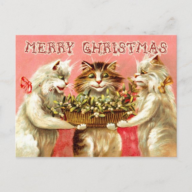 Christmas Greetings from Cats with Mistletoe Holiday Postcard (Front)