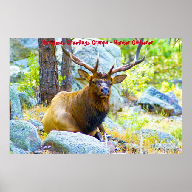 Christmas Greetings Grandpa Hunter Gatherer Poster (Front)