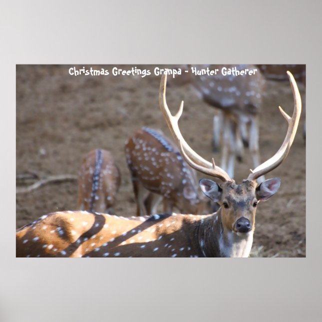 Christmas Greetings Grandpa Hunter Gatherer Poster (Front)