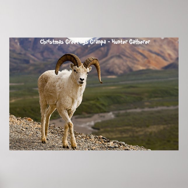 Christmas Greetings Grandpa Hunter Gatherer Poster (Front)