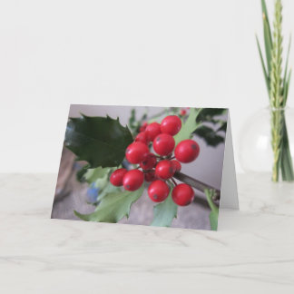 Christmas Greetings Holiday Card