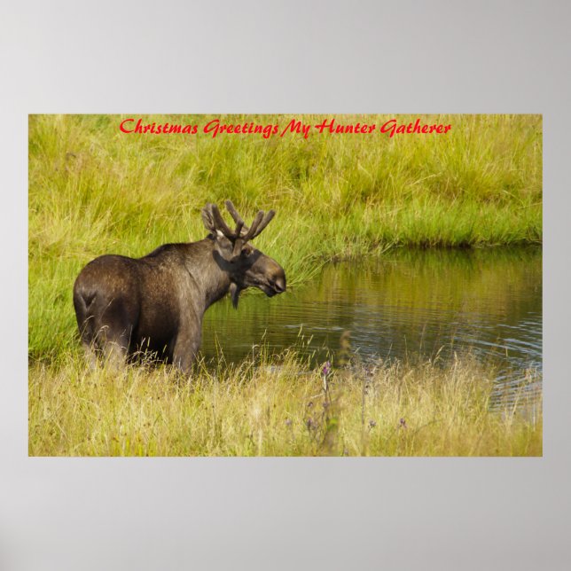 Christmas Greetings My Hunter Gatherer Poster (Front)