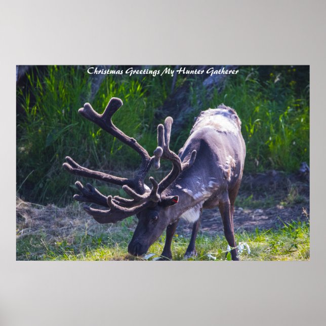 Christmas Greetings My Hunter Gatherer Poster (Front)
