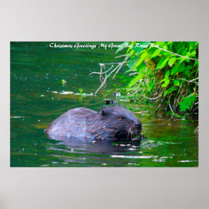 Christmas Greetings My River Rat Poster