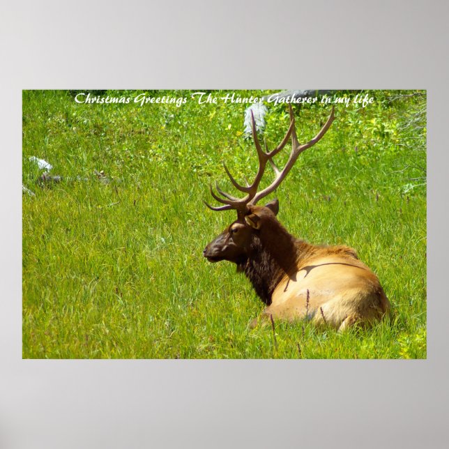 Christmas Greetings the Hunter Gatherer in my life Poster (Front)