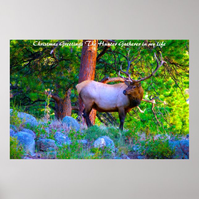 Christmas Greetings the Hunter Gatherer in my life Poster (Front)