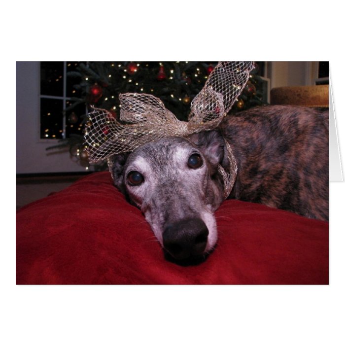 Christmas Greyhound Cheer Cards