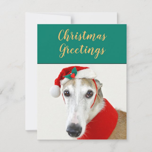 Christmas greyhound cute dog holiday card (Front)