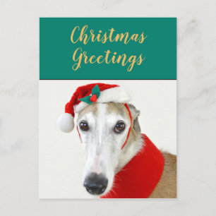 Christmas greyhound cute dog holiday postcard