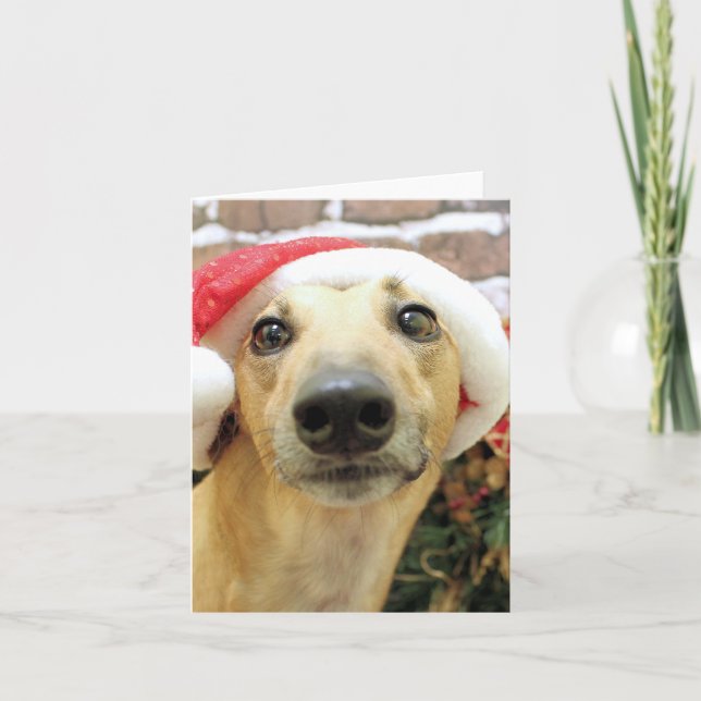 Christmas - Greyhound - Pena Holiday Card (Front)