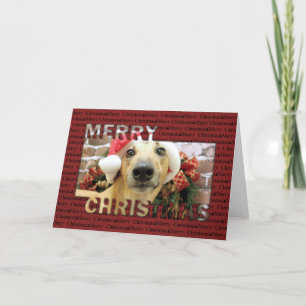 Christmas - Greyhound - Pena Holiday Card