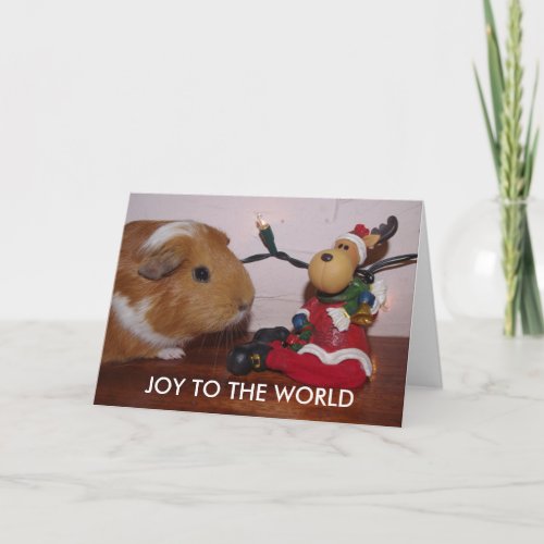 CHRISTMAS GUINEA PIG CARD