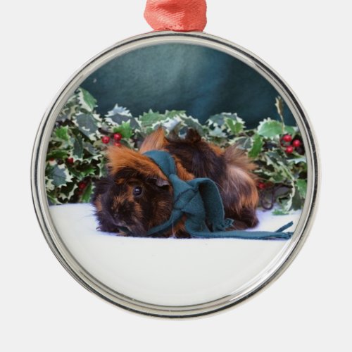 Christmas Guinea Pig Ornament