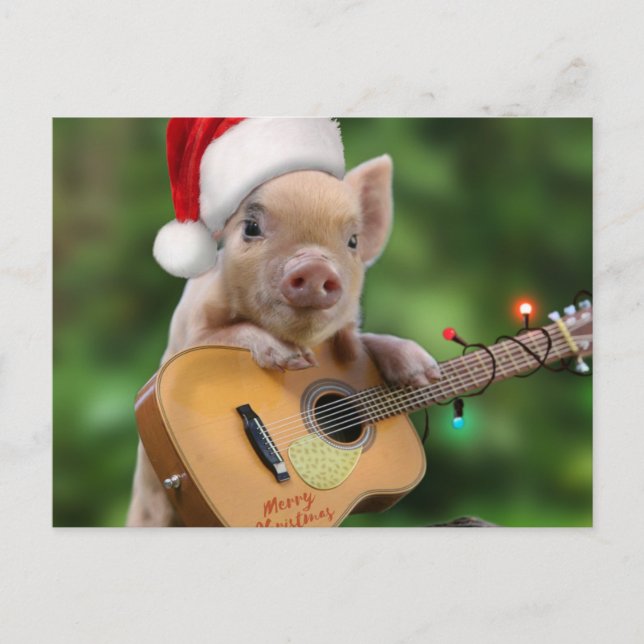 Christmas guitar pig postcard (Front)