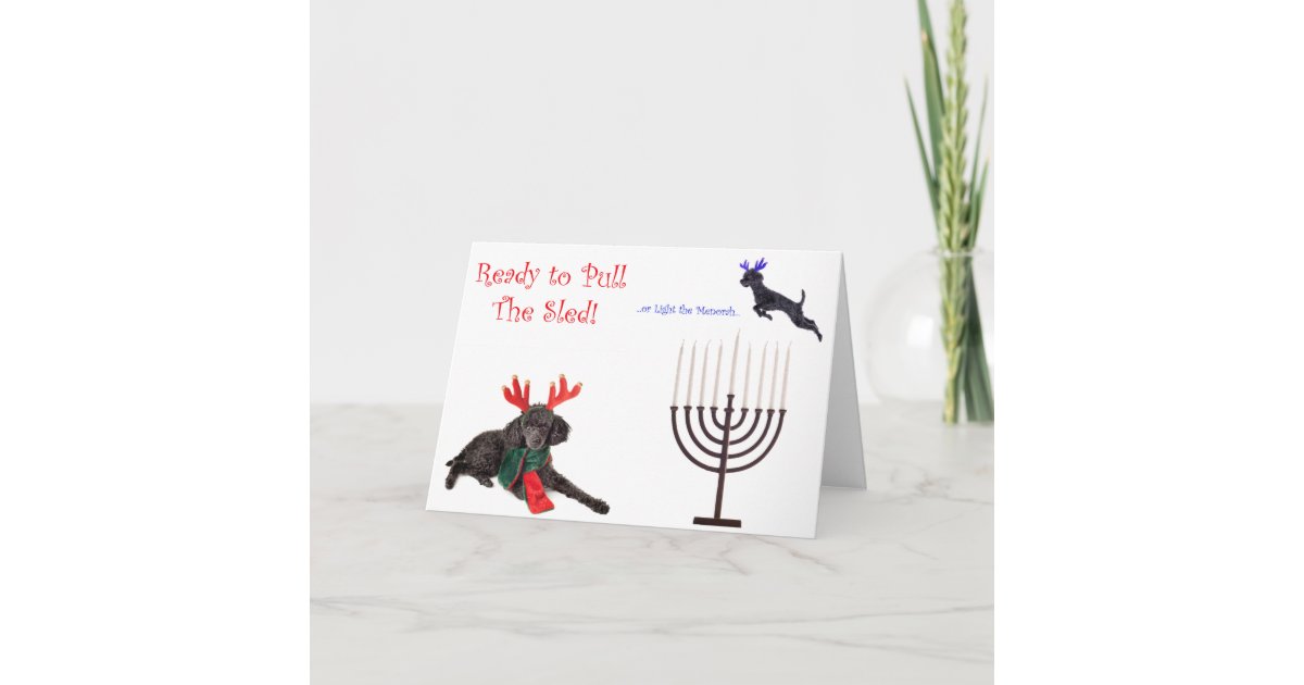 Christmas Hanukkah Poodle Dog W Menorah Holiday Card Zazzle Com