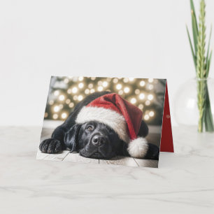 Christmas Hat On a Black Labrador Retriever Holiday Card