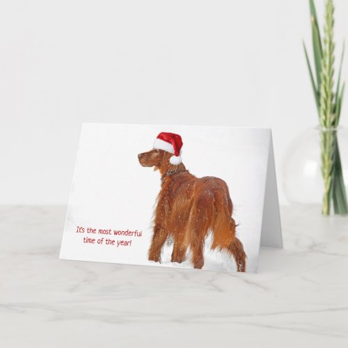 Christmas hat on Irish Setter in snowflakes Card