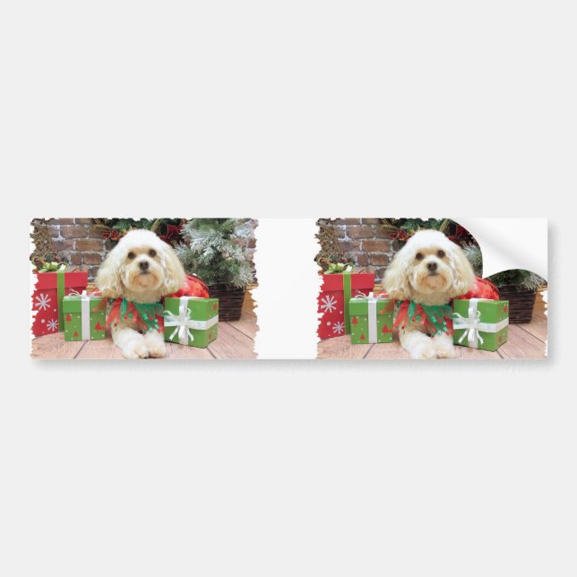 Christmas - Havanese - Mason Bumper Sticker (Front)