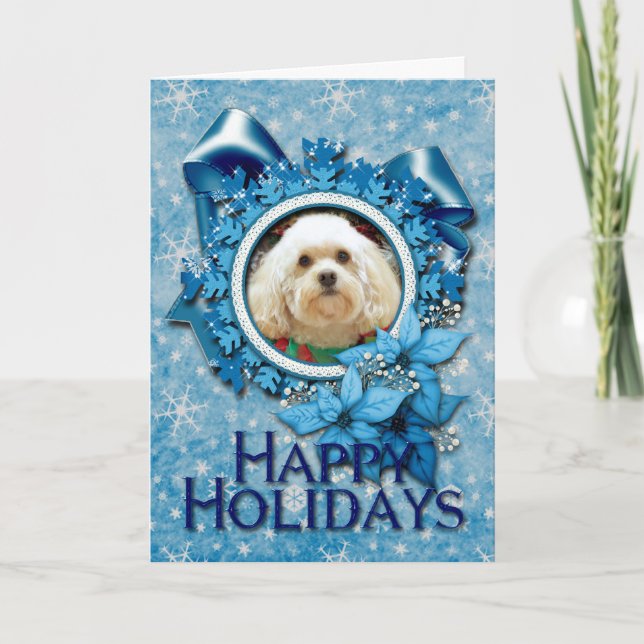 Christmas - Havanese - Mason Holiday Card (Front)