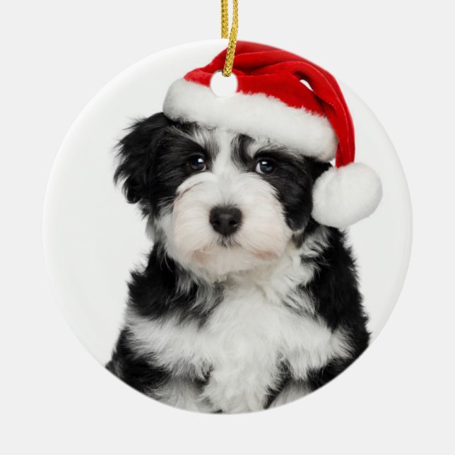 Christmas Havanese Puppy Dog Ceramic Ornament (Front)