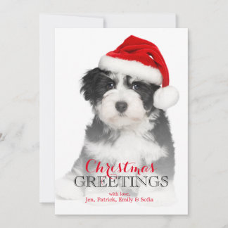 Christmas Havanese Puppy Dog Holiday Card