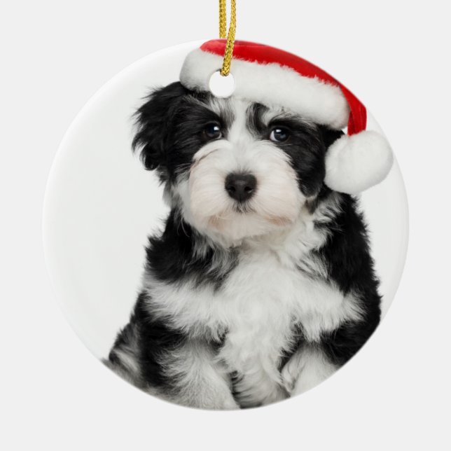 Christmas Havanese Puppy Dog Metal Ornament (Front)