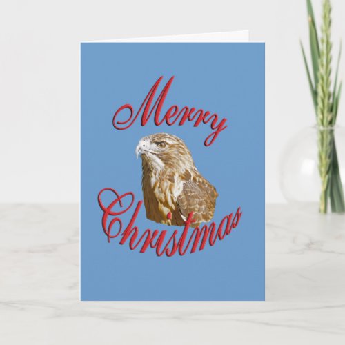 Christmas Hawk Holiday Card