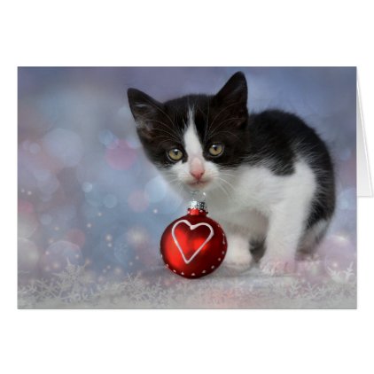 Christmas Heart Ornament Kitten Card