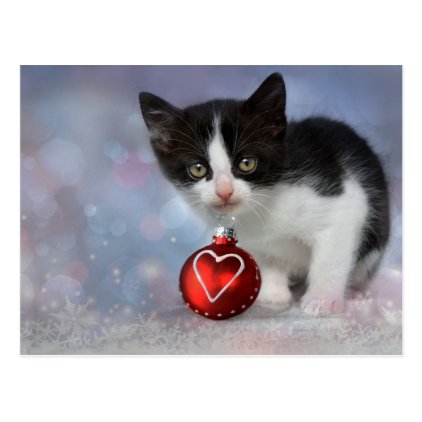 Christmas Heart Ornament Kitten Postcard