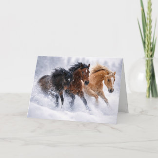 Christmas Herd of Wild Horses in the Snow Cute Card