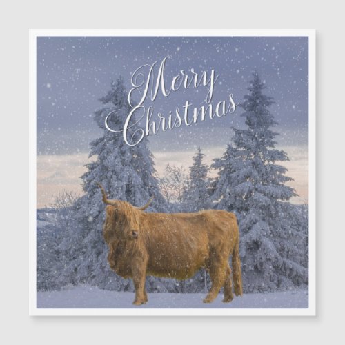 CHRISTMAS HIGHLAND COW
