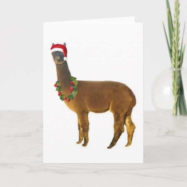 Christmas Holiday Alpaca (Front)