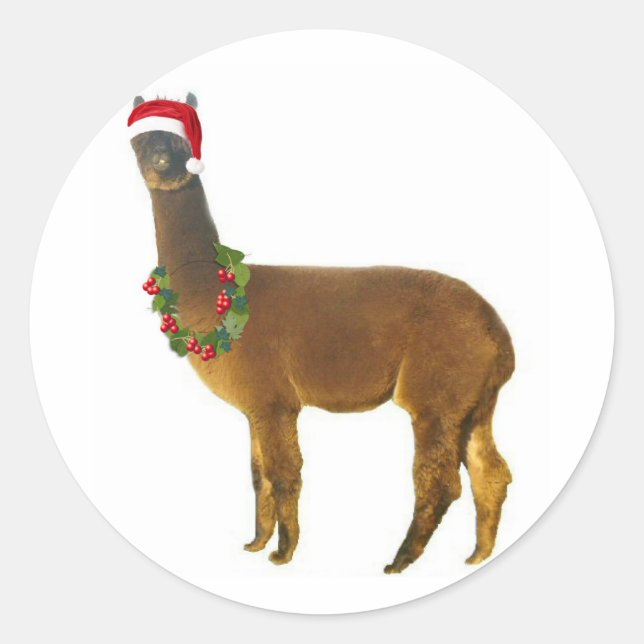 Christmas Holiday Alpaca Classic Round Sticker (Front)
