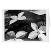 ***CHRISTMAS HOLIDAY BE MERRY AND BRIGHT*** (Front Horizontal)