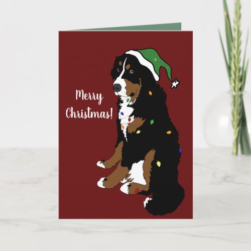 Christmas Holiday Bernese Mountain Dog Card