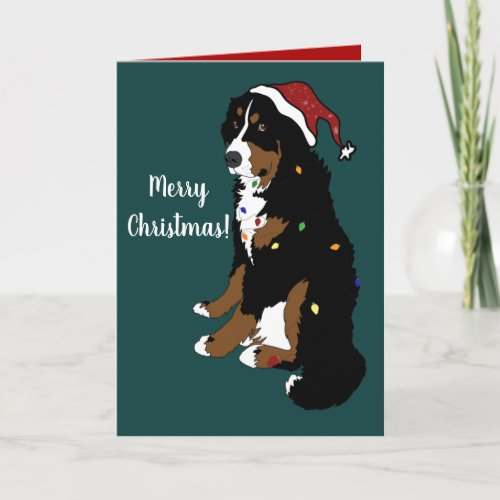 Christmas Holiday Bernese Mountain Dog Card