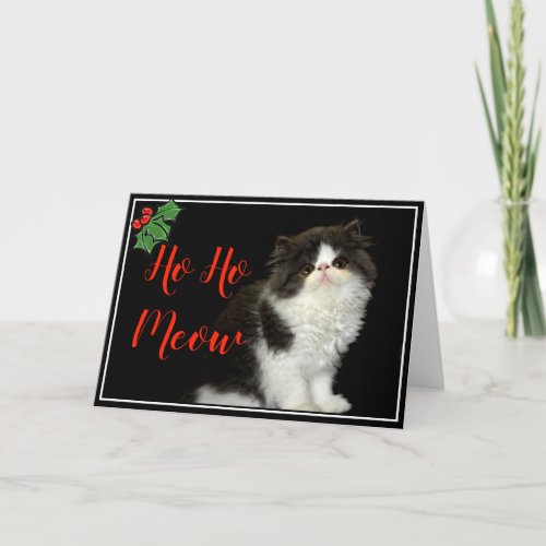 Christmas Holiday black white fluffy Kitten Card
