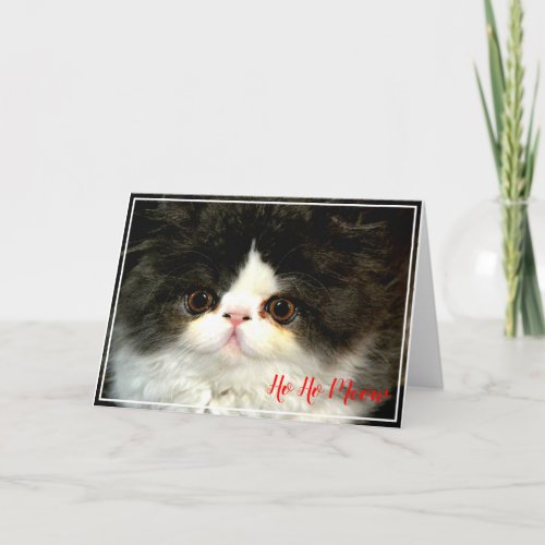 Christmas Holiday black white fluffy Kitten Card