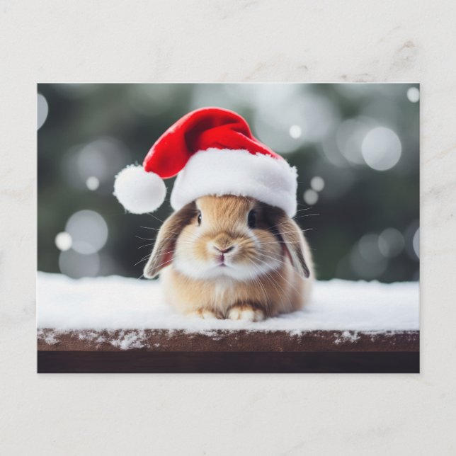 Christmas Holiday Bunny Postcard (Front)