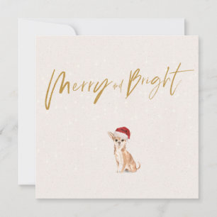 Christmas Holiday Chihuahua Dog Merry Greeting