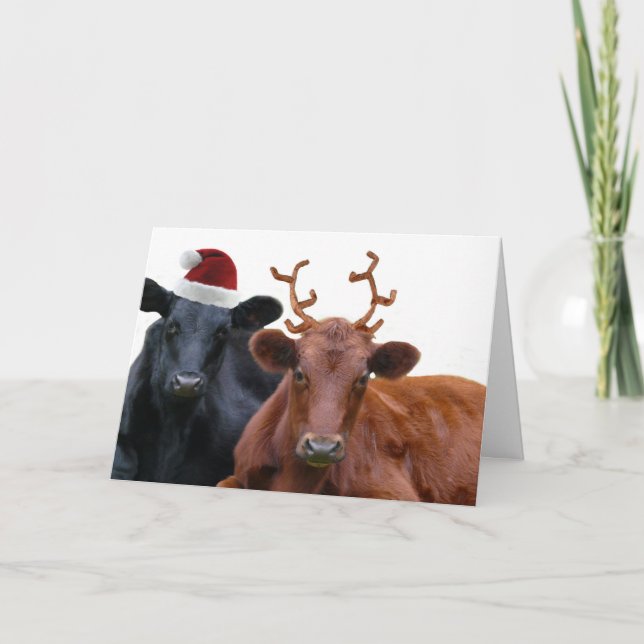 Christmas Holiday Cows in Santa Hat and Antlers (Front)