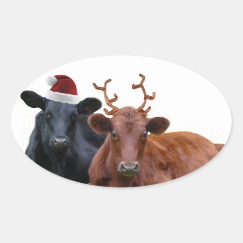 Christmas Holiday Cows in Santa Hat and Antlers Oval Sticker