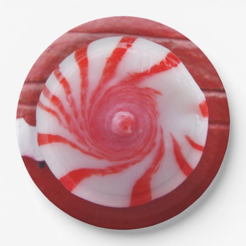 Christmas Holiday festive peppermint swirl candy Paper Plates