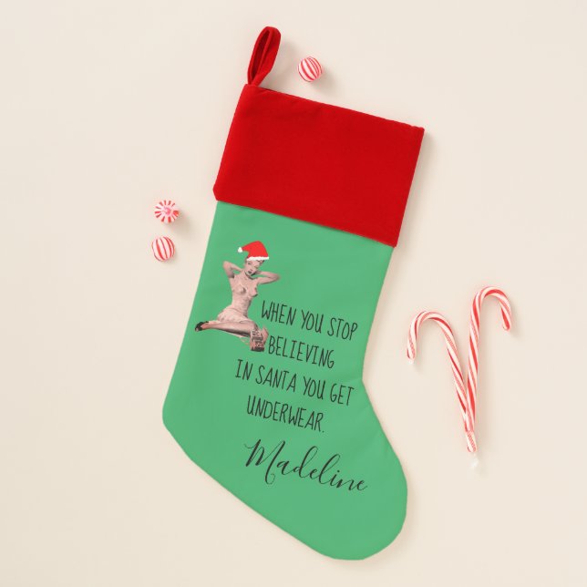 Christmas Holiday Funny Red Green Quote Stocking (Front)
