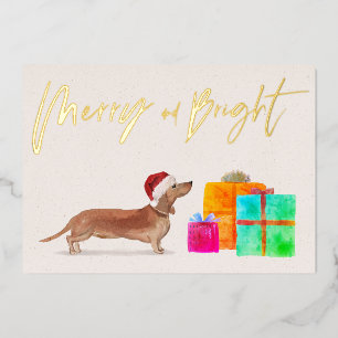 Christmas Holiday Gold Tan Dachshund Dog Photo