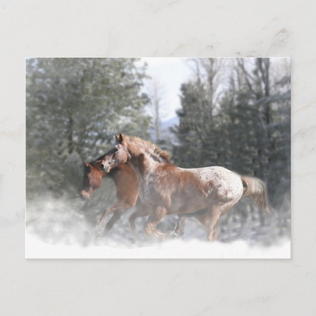 Christmas Holiday Horse Postcards (Front)