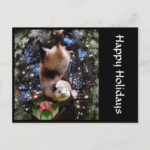 Christmas Holiday Opossum Postcard