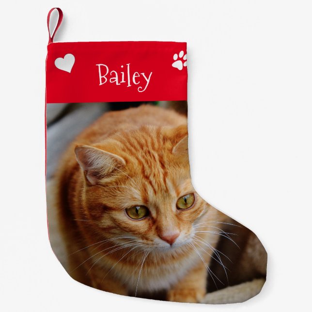 Christmas Holiday Pet Photo Template Customize Small Christmas Stocking (Front)