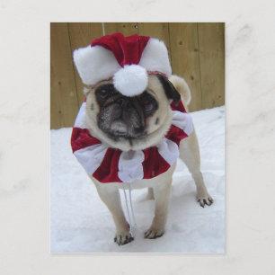 Christmas Holiday Pug in Snow