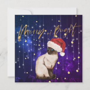 Christmas Holiday Purple Cat Santa Greeting